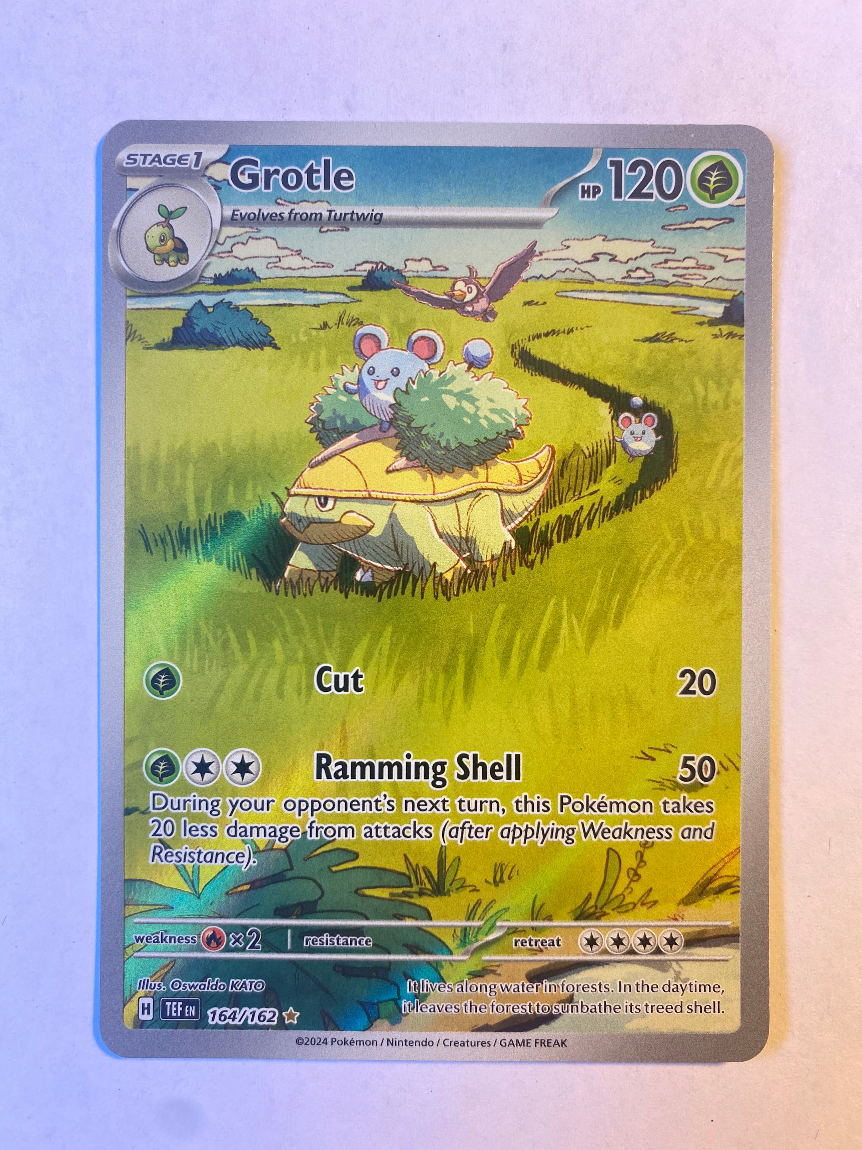 Grotle 164/162 - Temporal Forces (NM)